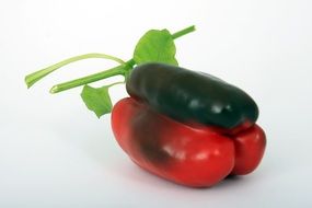 black and red pepper as a drawing