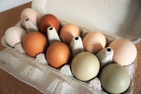 Eggs Free Range