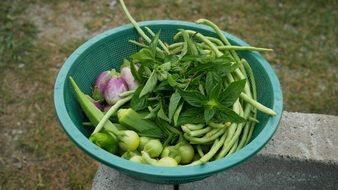 tasty Harvest Gardening