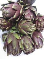 artichokes are antioxidants