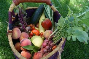 Vegetables basket