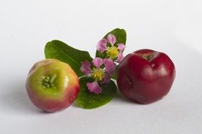 Red apple with flowers as a still life