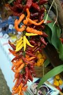 Hot Peppers as the main spice
