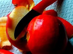 sliced Apple fruit