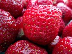 red Strawberries Fruits close-up