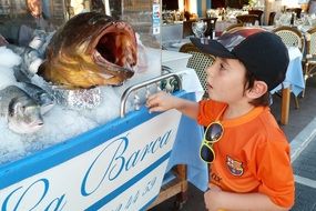 surprised Child Boy at big Fish on ice in restaurant