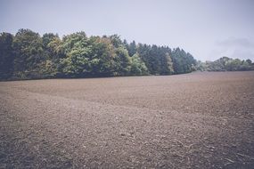 arable field close up