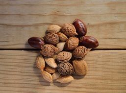 tree seeds on the table