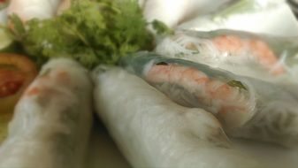 Closeup photo of Vietnamese Spring Rolls