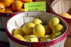 Lemons in basket For Sale outdoor