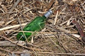 empty bottle among dry branches