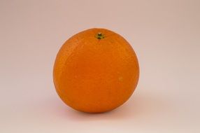 orange on a white background