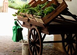 wooden crates with vegetables for sale