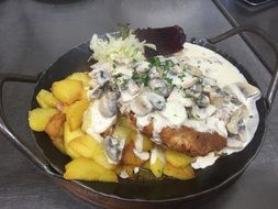 Dine Schnitzel Food