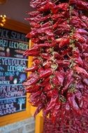 Poined Red Pepper