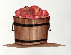 bucket of apples drawing