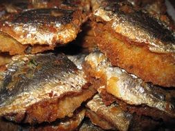 fried sardine fish on a plate