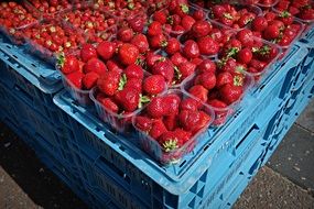 lots of strawberries in the fruit market