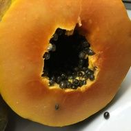 closeup picture of Tropical sliced papaya fruit