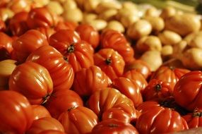 picture of the pumpkins in a market