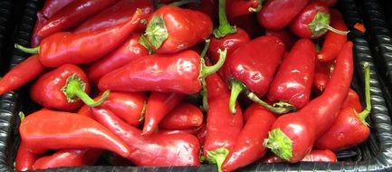 hot red pepper on a tray close-up