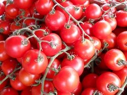 Tomato Red Vine Food Vegetable