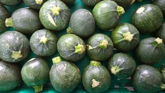 green zucchini