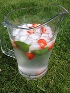 cold water with ice cubes and strawberry pieces