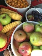 harvest of fruits and vegetables in a country house