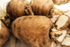 Chervil Tuber Vegetables harvest closeup