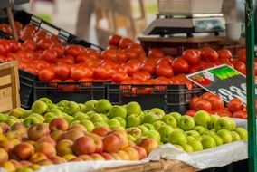 Different kinds of the vegetable and fruits in the market