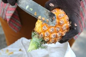 Hanoi Pineapple