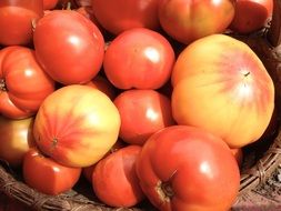 Heirloom Tomatoes Red Yellow