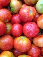lots of red tomatoes lie in a pile