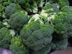 Broccoli fresh Green
