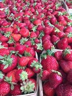 strawberries in baskets at farmers market