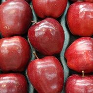 red varietal shiny apples