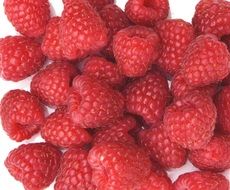 Sweet red raspberries