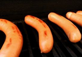 picture of the grilled sausages