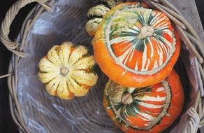 Organic vegetables in a basket