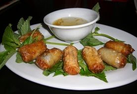 delicious vietnamese appetizer in the form of springrolls