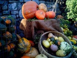 different colored pumpkin for dishes