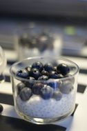 blueberry and chia pudding