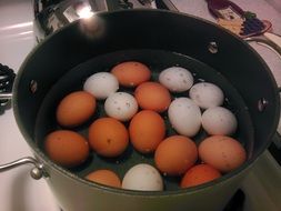 Boiling Eggs process