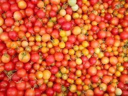 tomatoes in the vegetable market close-up