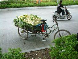 Guilin Vegetables