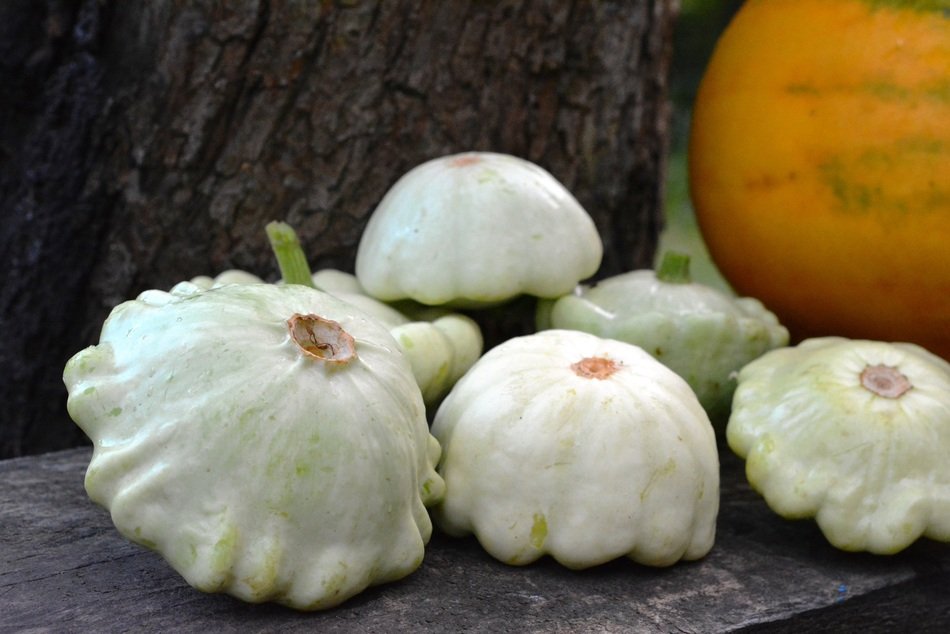 Patison Pumpkin and other pumpkins
