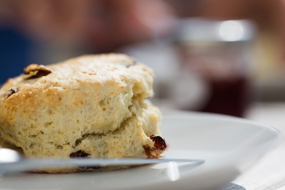 piece of Homemade scone with currants close up