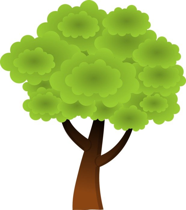 clipart,picture of green tree