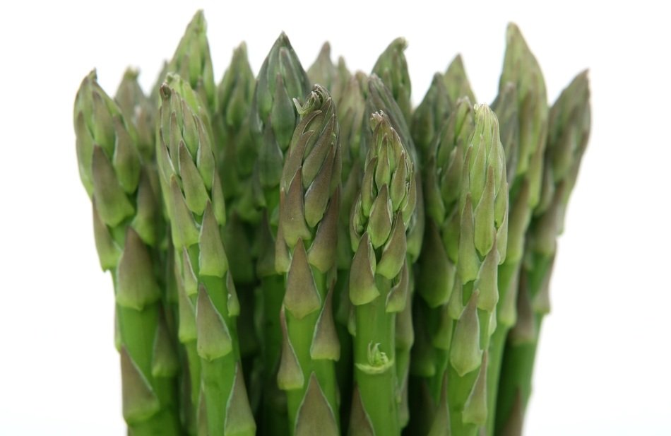 isolated healthy aparagus